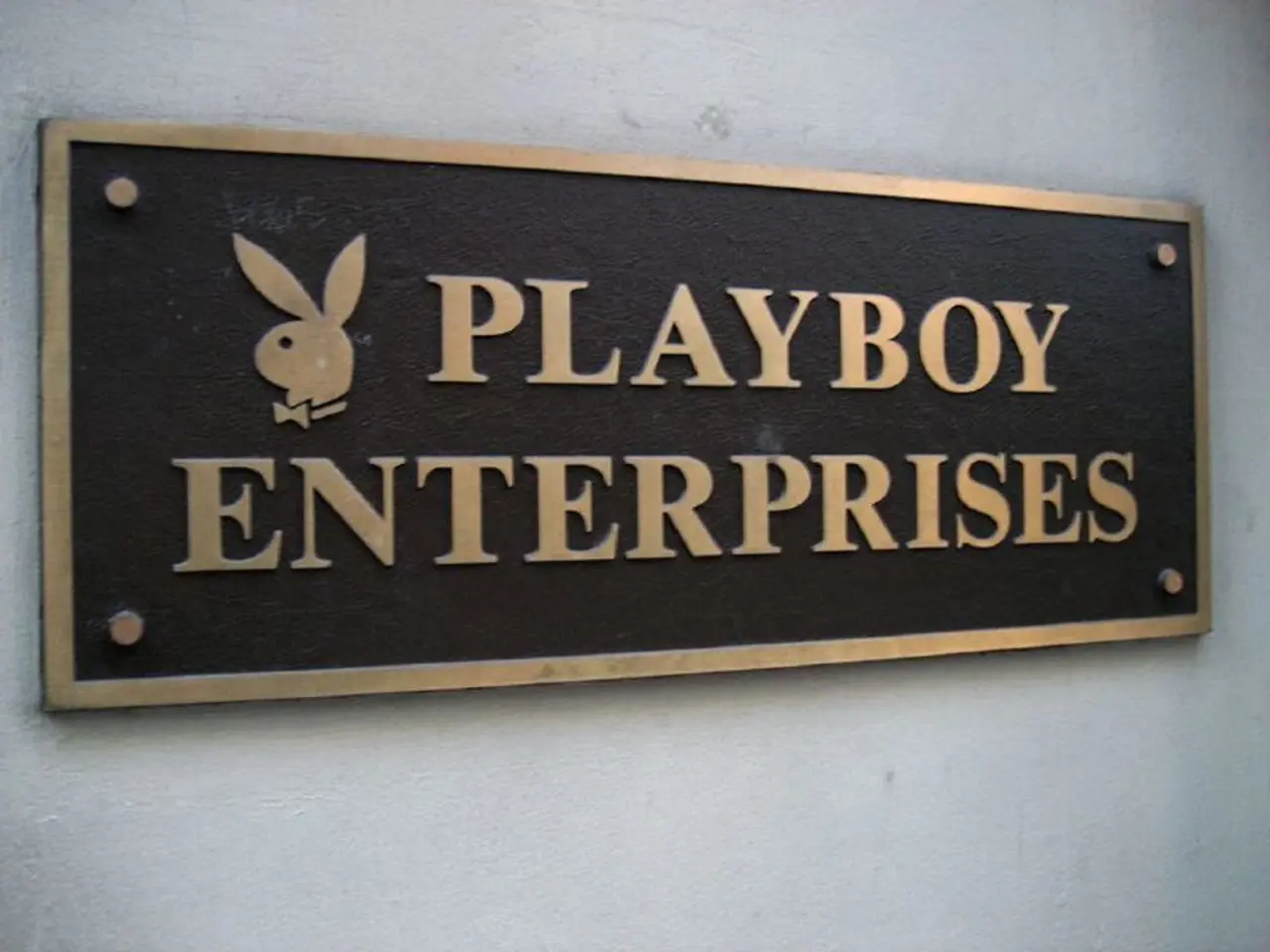 This looks like a name board, which is fixed to the wall. I think these are the screws. I can see...