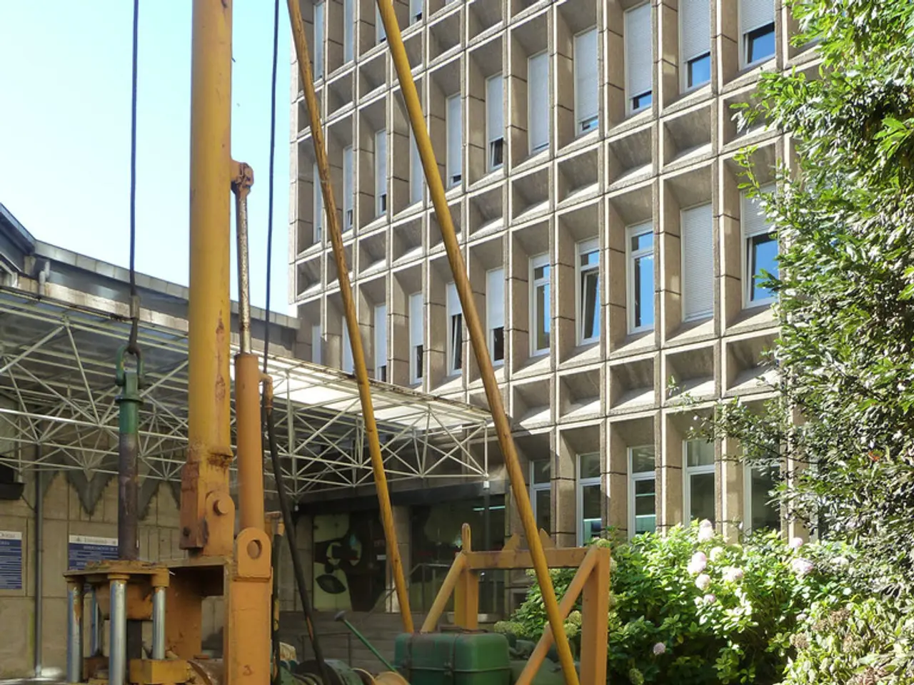 In this picture we can see a machine on the grass. There are a few plants on the right side. We can...