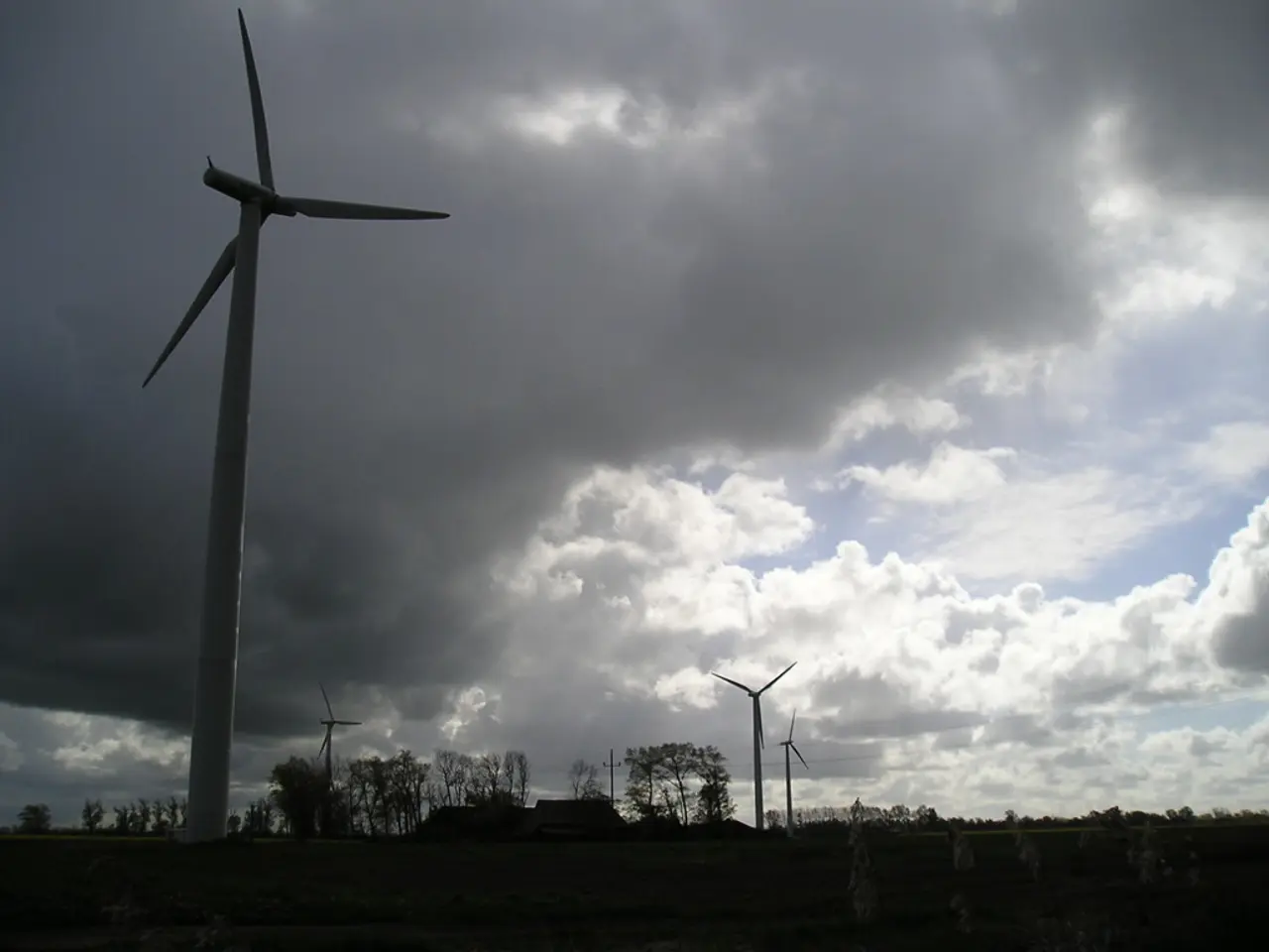 These are the windmills. I can see the trees with branches and leaves. These are the clouds in the...