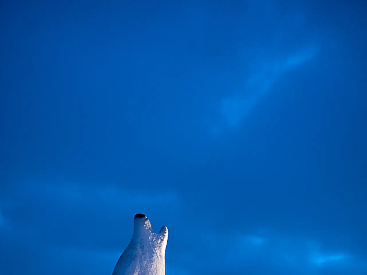 In this picture we can see white polar bear sitting on the snow rock and roaring. Behind we can see...