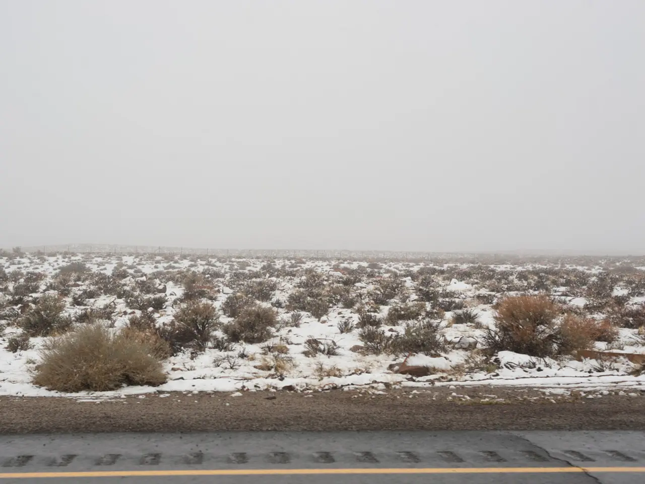 In this image I can see planets and ice on the ground. At the top I can see the sky. This image is...