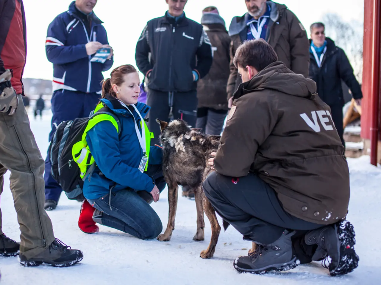This picture describes about group of people few are seated on the ground and few are standing in...