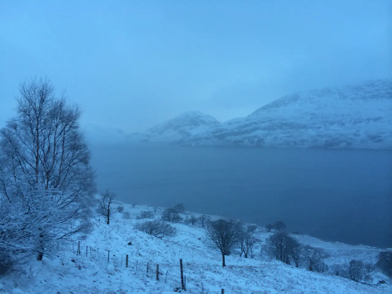 This image is clicked outside. At the bottom, there is a ground covered with the snow. On the left,...