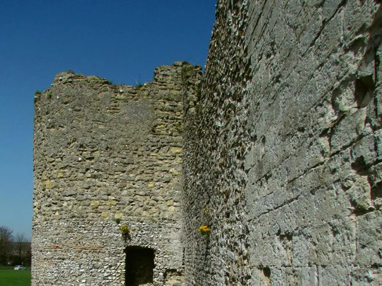 In this picture there is a boundary at the bottom side of the image and there is grassland in the...