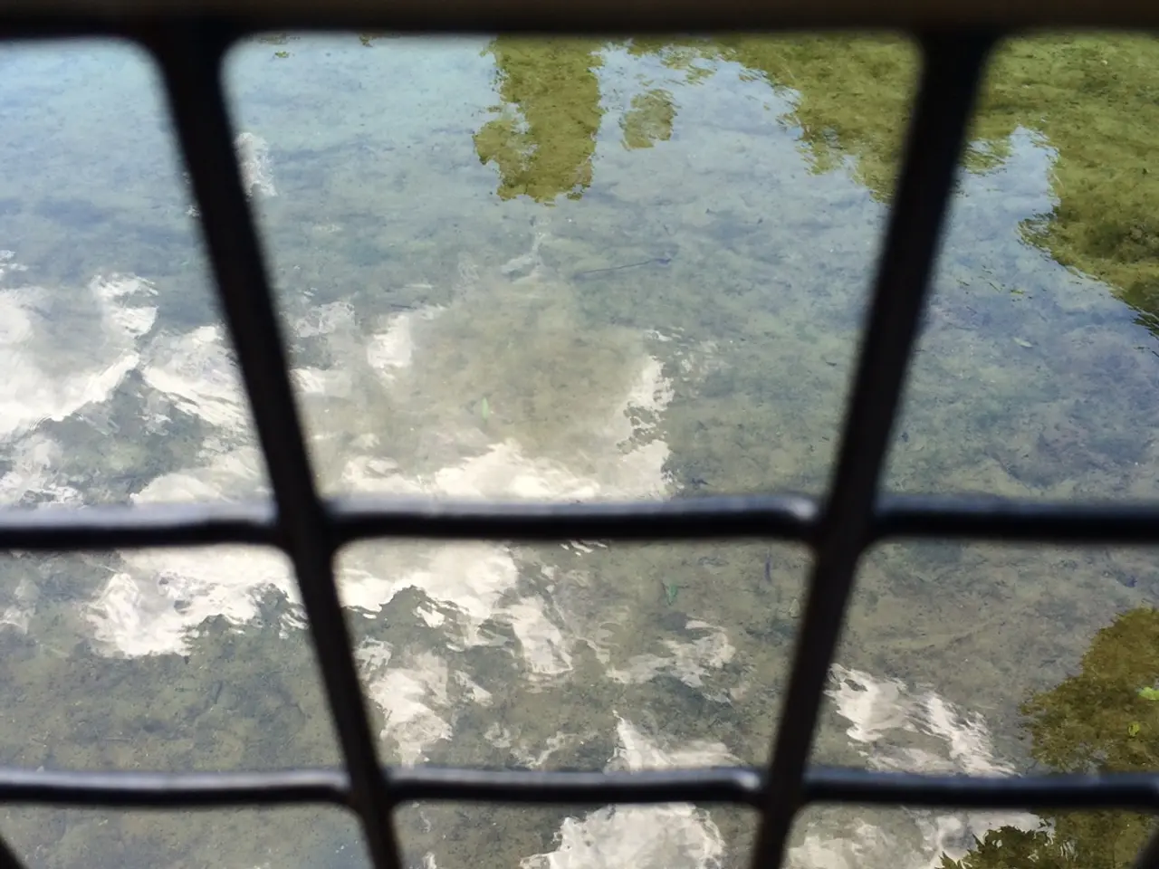 This image consists of a girl through which we can see the water. And we can see the reflection of...