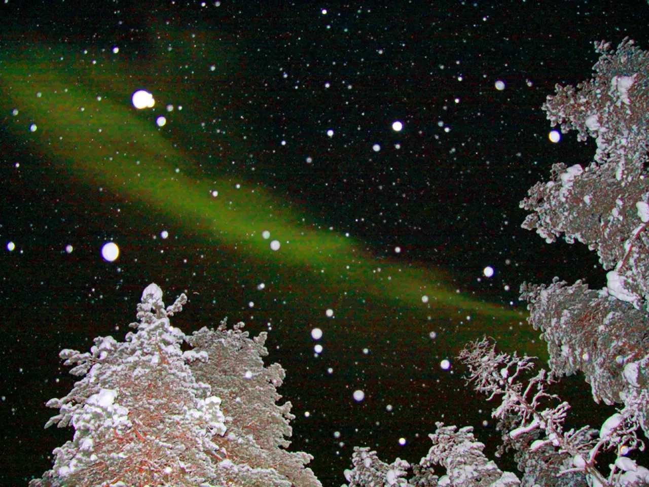 In this picture I can see there is a few trees and they are covered with snow and there is...