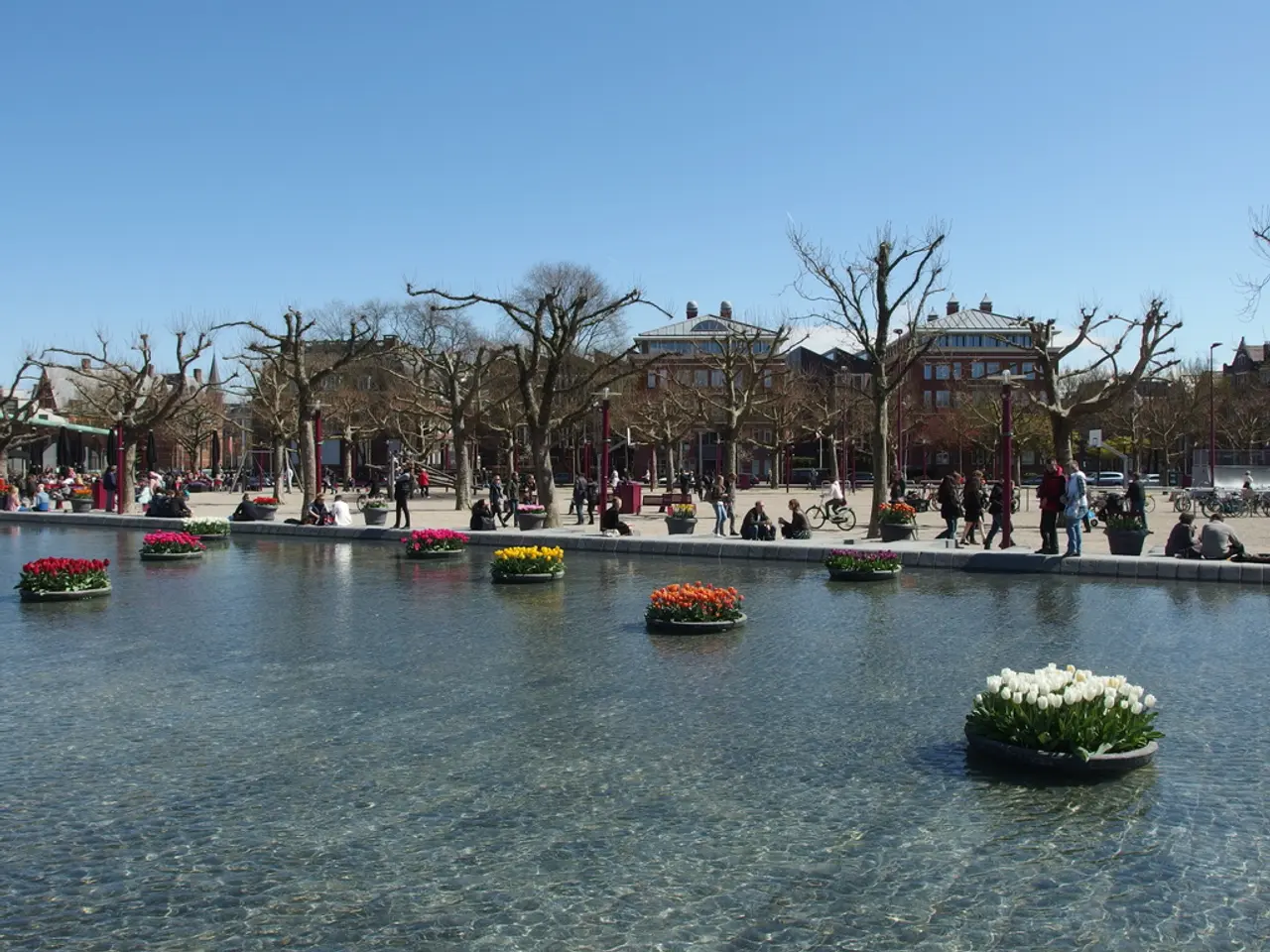 There are trees and buildings, this is water and a sky.