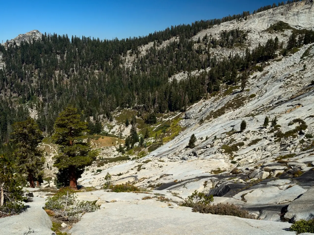 In this image there are trees and rocky mountains.