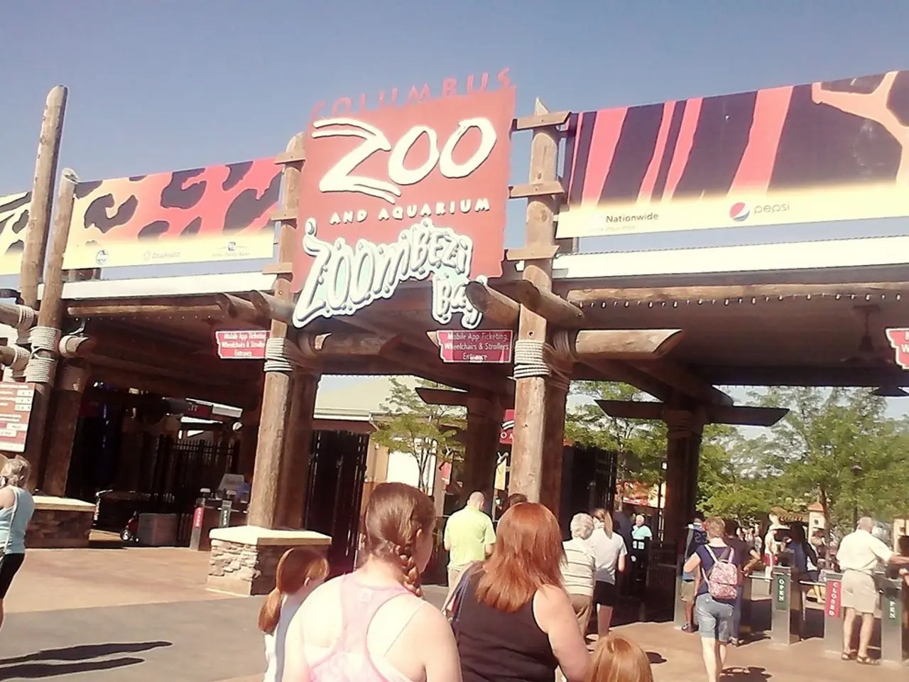 In this picture we can see a group of people on the ground, some people are wearing bags, here we...