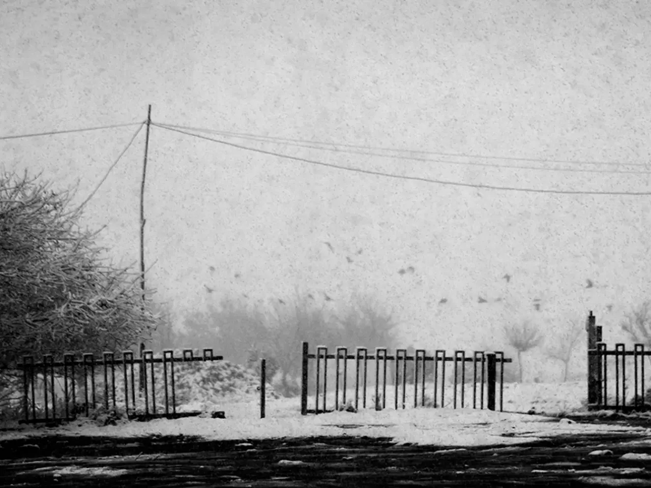 In this picture I can see there is snow fall and in the backdrop there are plants and trees and...