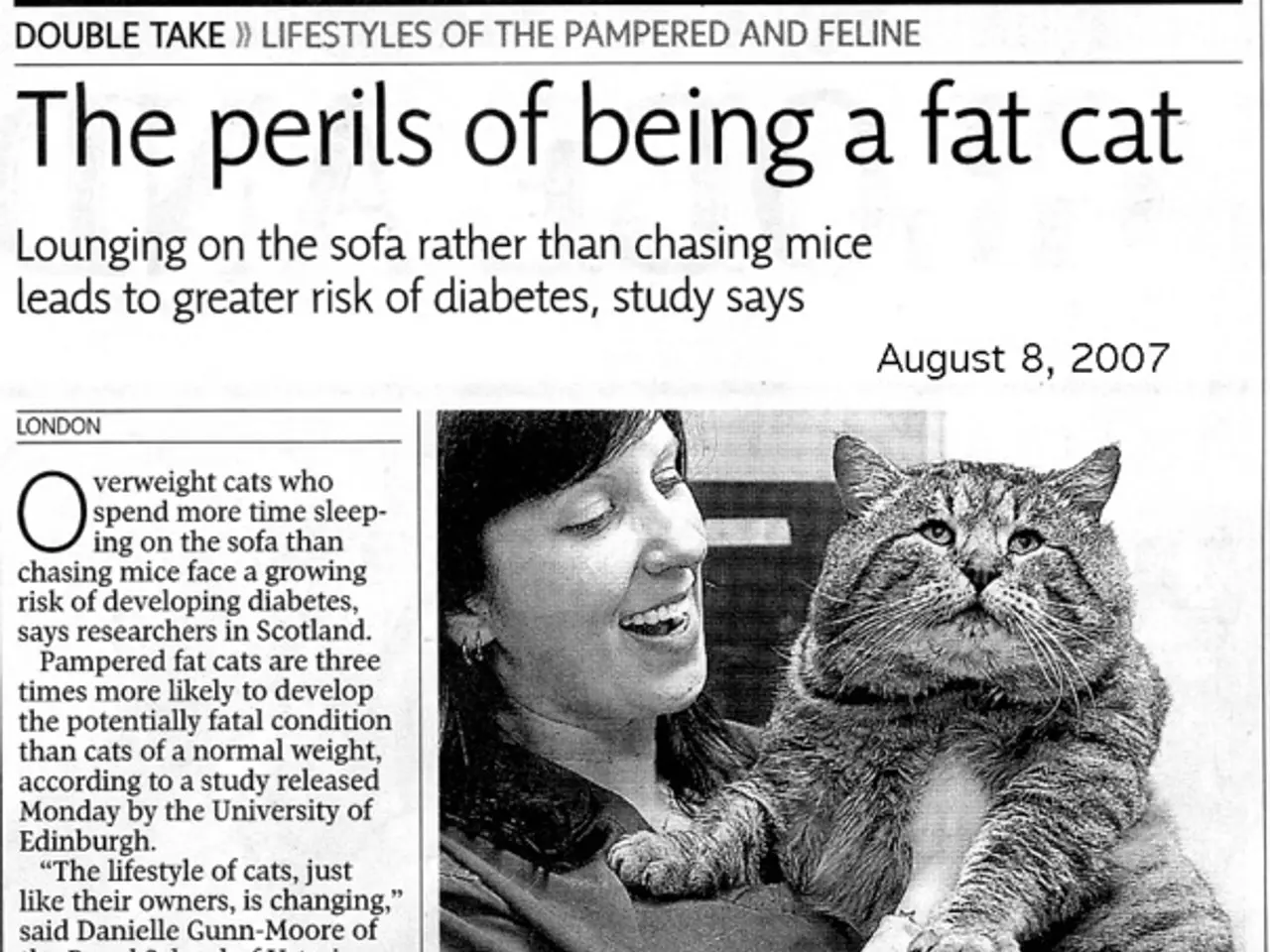 In this picture we can see the article in a newspaper with some text on it. On the right side, we...