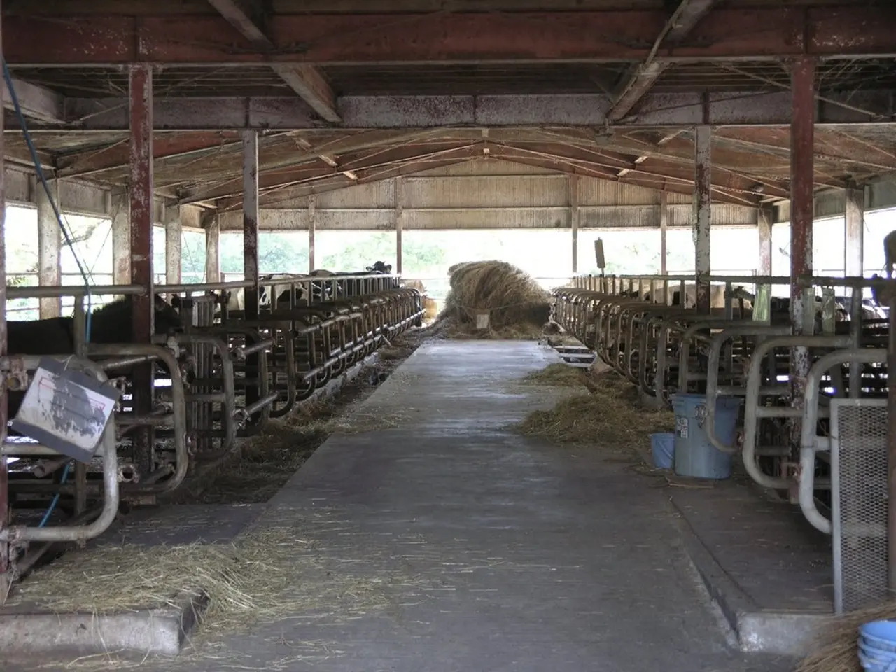 In the image we can see a shed. Behind the shed there are some trees. In the shed there is grass...