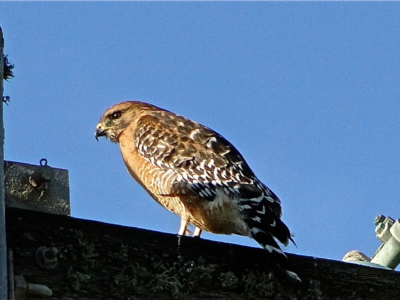 This image is taken outdoors. At the top of the image there is a sky. At the bottom of the image...