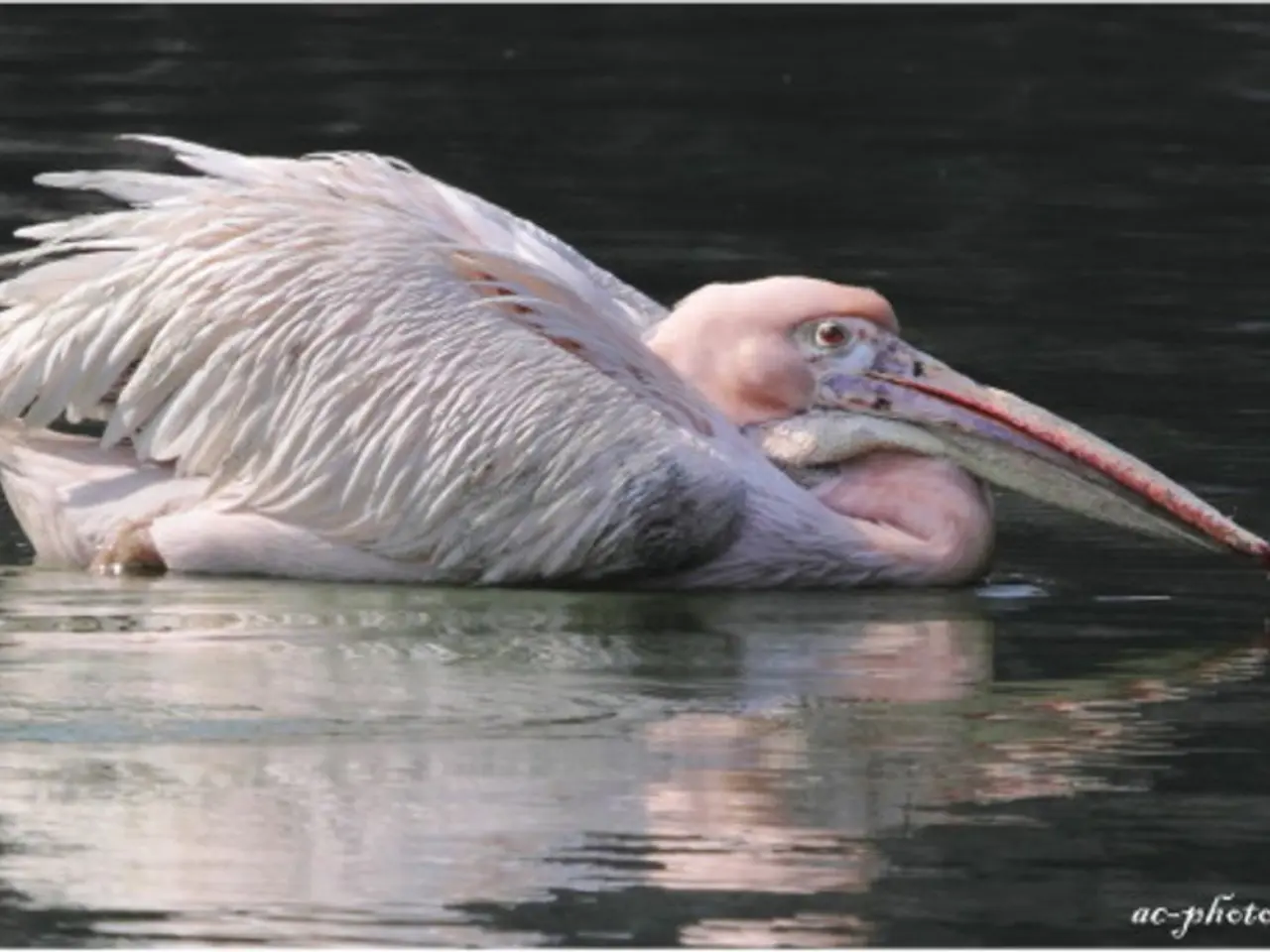 This image is taken outdoors. At the bottom of the image there is a pond with water. In the middle...