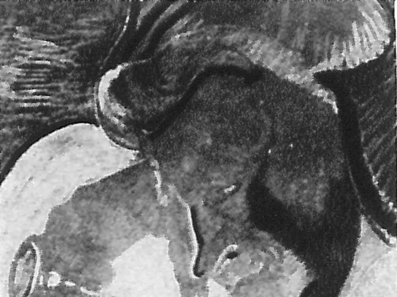 The image shows a black and white drawing of a man and woman embracing and kissing. The man is...