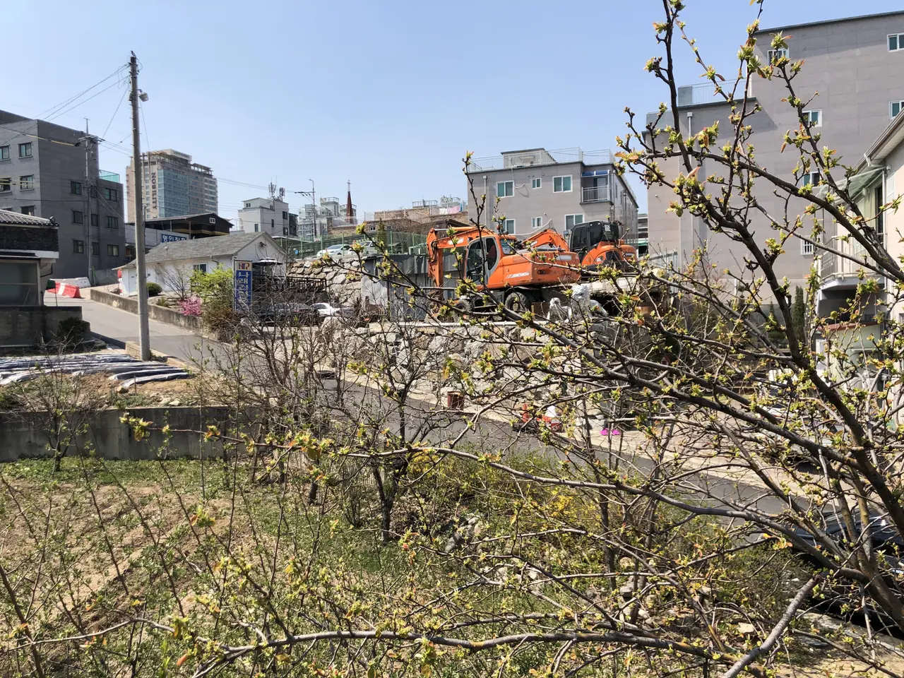 The image shows a construction site with a tree in the middle of it, surrounded by buildings with...