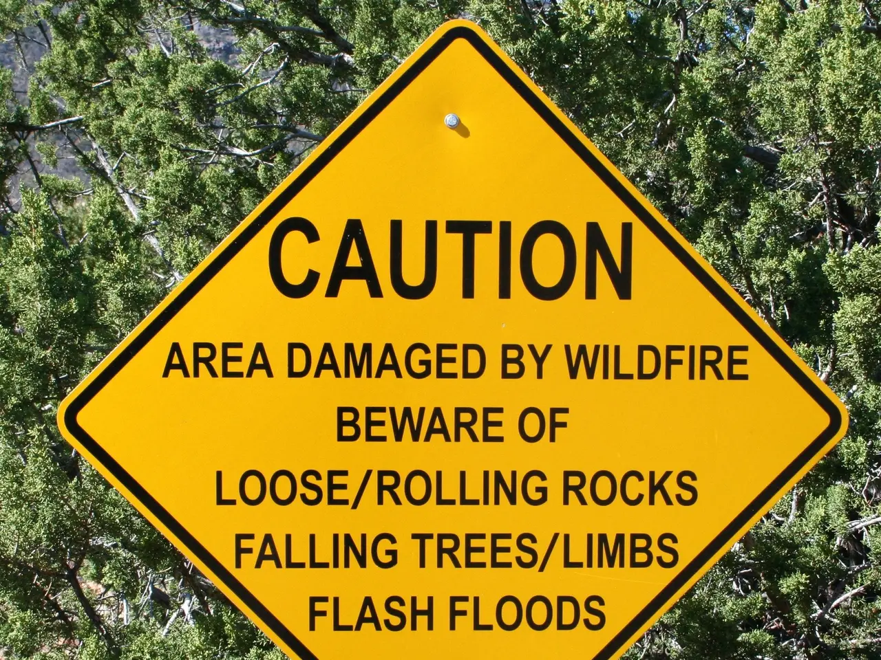 The image shows a yellow caution sign attached to a pole in the foreground, with trees in the...