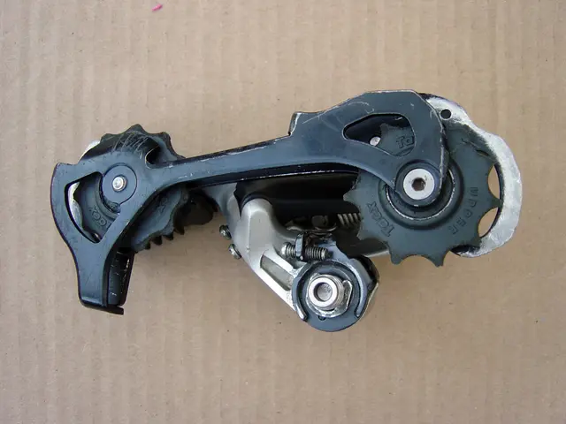 Divers return with the unveiling of the Giraffe Revolution in music