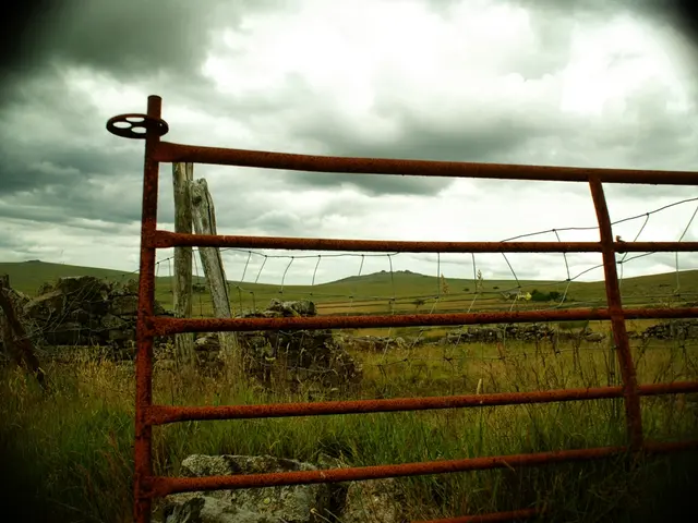 Scorching and abnormally arid weather in June