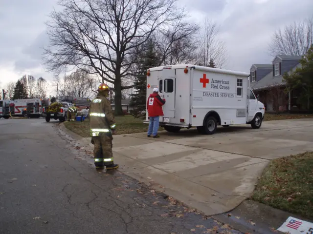 Successful Tree Landing: Skydivers Arrive After Free-falling 7 Meters High above the Ground