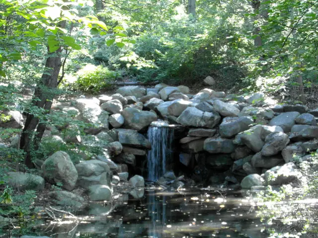 Decision-making processes regarding groundwater resources