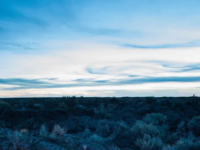 Western Turkey experiences another forest fire, leading to a temporary closure of the nearby...