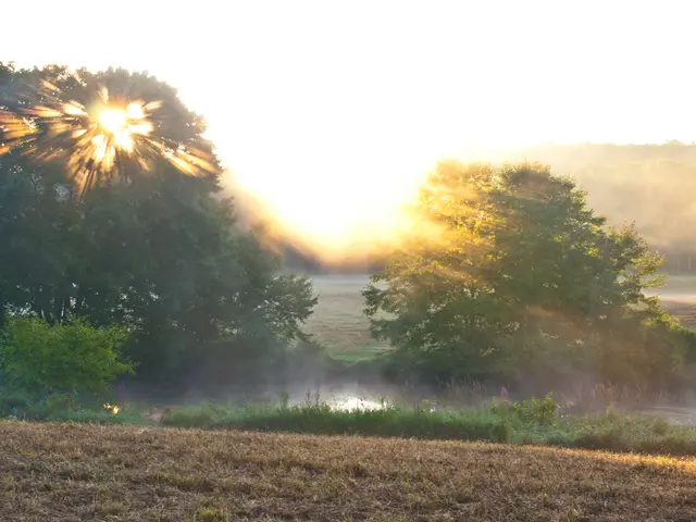 Western Turkey's forest succumbing to flames, partially shuttering the airport due to smoke and...