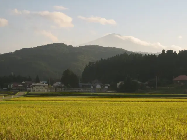 Unveiling the Authentic Crop Circle Phenomenon: A Collection of 320 Natural Formations