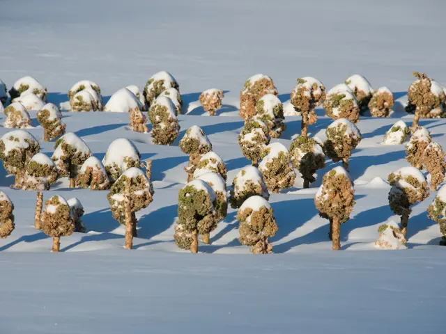 Winter forecast across the United States becomes ominous according to Farmers' Almanac