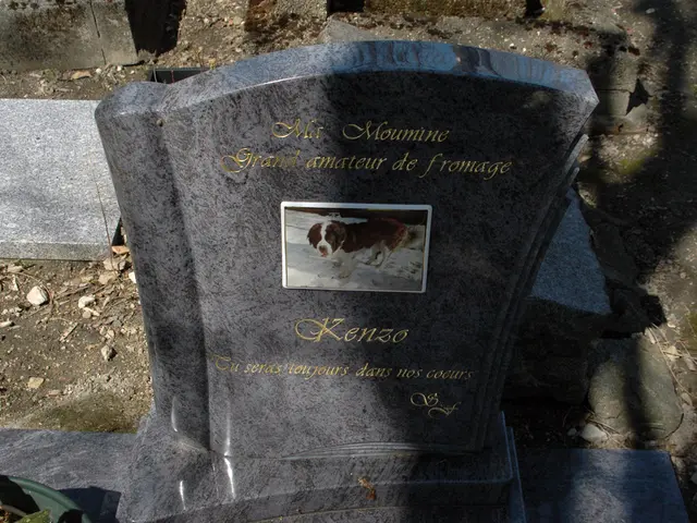 Poem Composed by Meena Kandasamy, Titled "Death Walks a Woman"