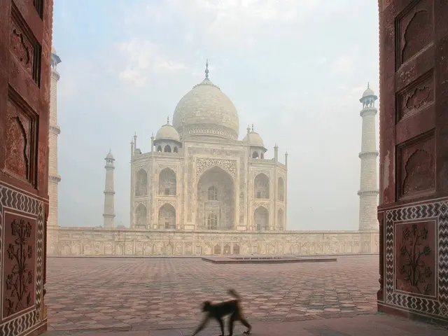 Hungarian Prime Minister Orbán's Controversial Summer Residence and Zebra-Inhabited Park Comes...