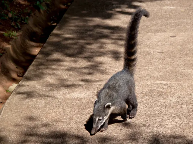 Information on BOB's inquiry regarding the recent accident