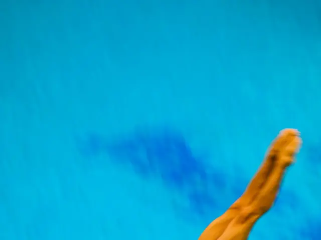 River Disappearance: Unaccounted-for Individual in Rhine's Waters