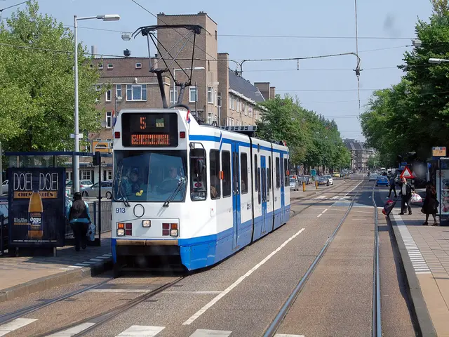 Frequent tram accidents in the town are attributable to...
