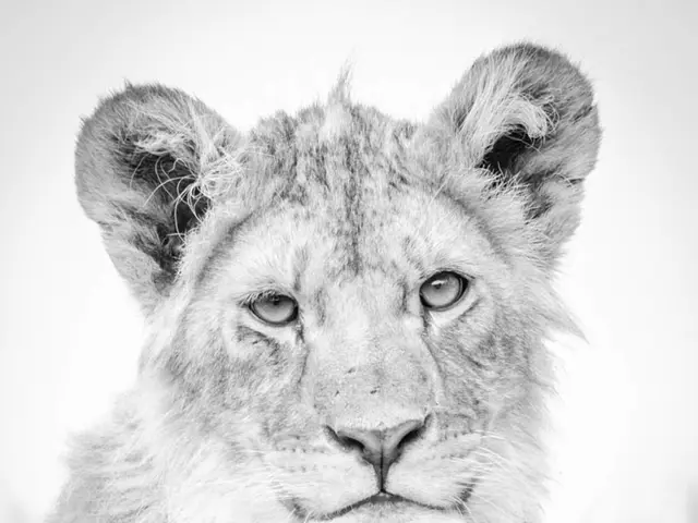 "Murdering infants serves no purpose"