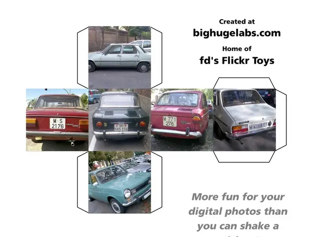 Purchasing a car can be as intricate as the most intricate courtship dance: An analysis on the...