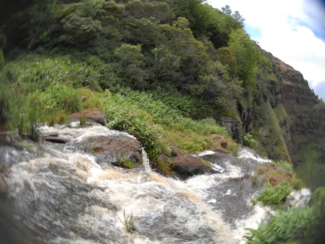 July's rainfall in Wupper region were conforming to the usual averages, as stated by the...