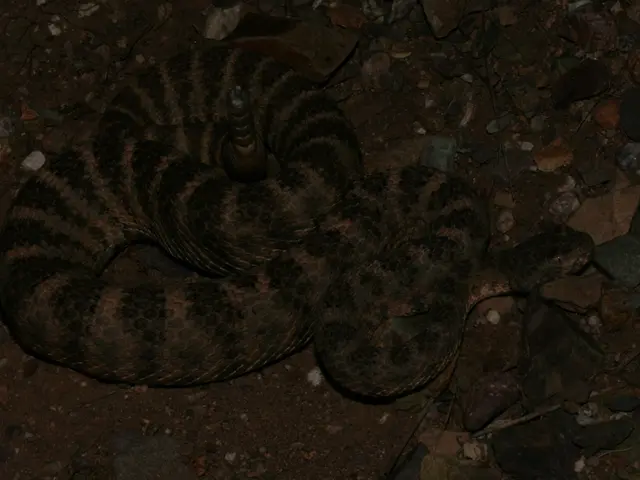 Swiftly depart at breakneck speed due to the perplexing visual deception depicted in this artwork.