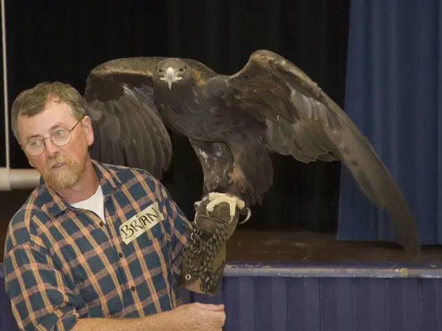 Eagles continue to face setbacks as another lineman puts health in jeopardy