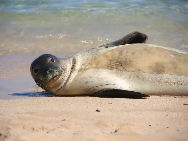 Offshore Patong beach generates waterspout warnings