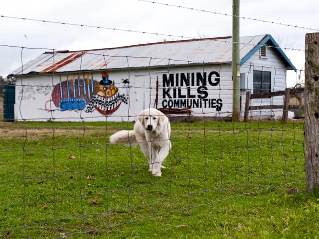 Humans' Transformation of Wolves into Man's Best Friend: The Sad Story of Their Neglect and...