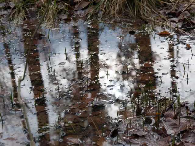 Imminent water shortages of national significance announced by England