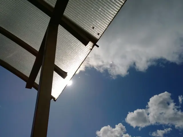 Remnants of Last Year's Gondelsheim Storm: Ongoing Evidence of Damage Remaining