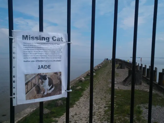 Deciding between playing for a drop or finessing the hand, that's the dilemma at the heart of...