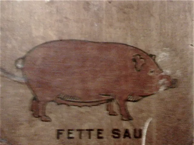 Public Event Held at a Swine Farm: Discussion of Popular Opinions