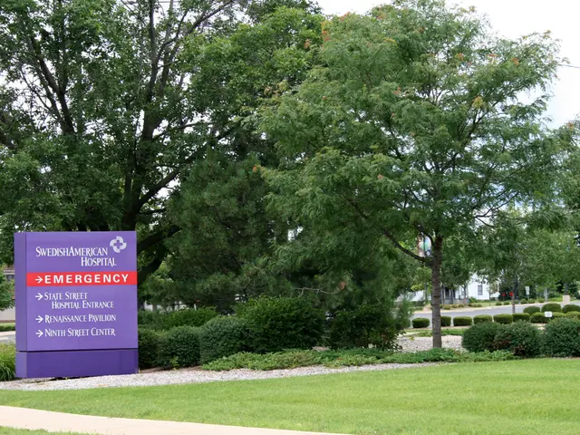 "Stoughton undertakes post-storm cleanup: Overnight storm knocks over trees and powerlines,...