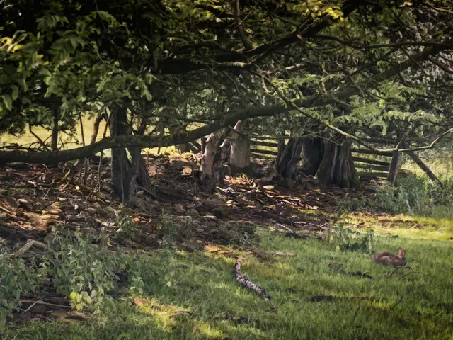 Contamination poses a threat to the water's safety.