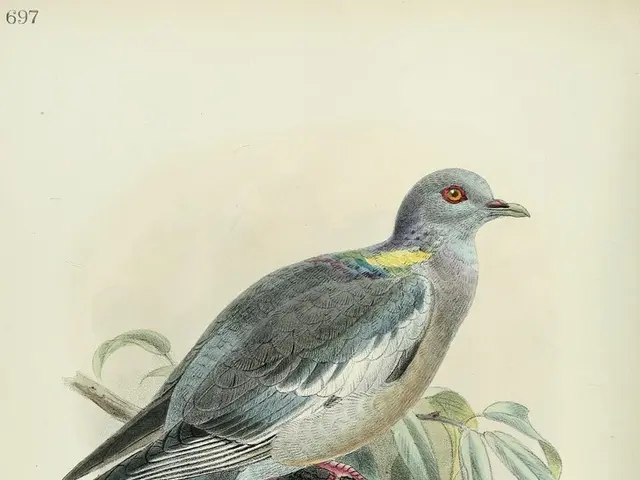 Star of "Bares for Rares", Wolfgang Pauritsch, acquires a rare item but finds himself unable to...