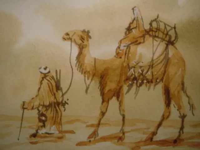 Artist from Senegal rides on Dakar beach in support of Gaza