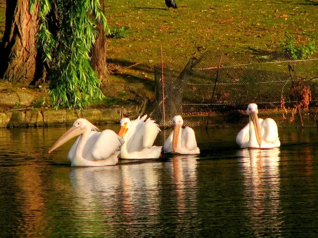 Unveiling the Hidden: A Journey Through Invisibility